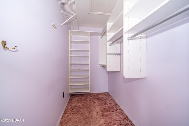 355 Palm Cir, Flagler Beach, FL 32136 - spacious closet with carpet