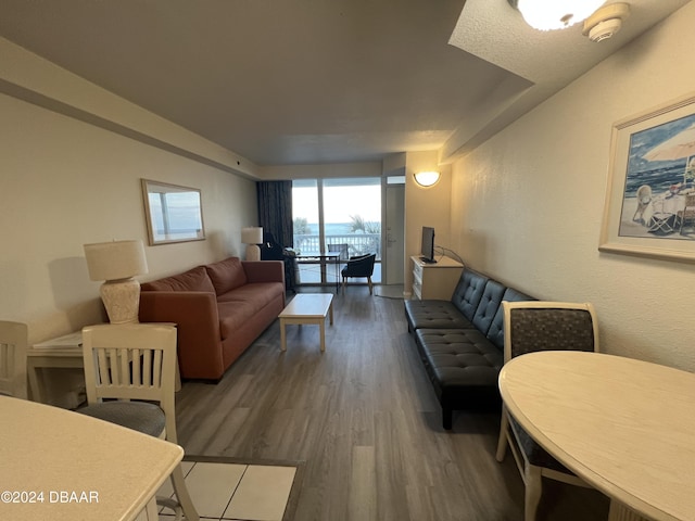 living room featuring wood-type flooring