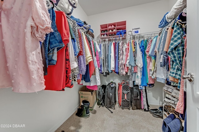 1362 Cork Dr, Ormond Beach, FL 32174 - walk in closet with carpet flooring