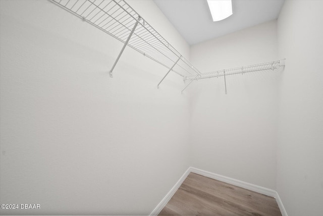 walk in closet featuring hardwood / wood-style floors