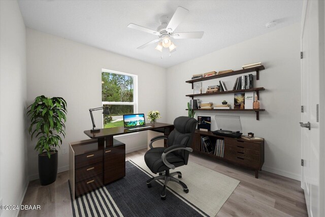 office with light hardwood / wood-style floors and ceiling fan