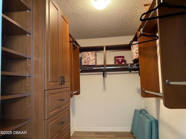 spacious closet featuring dark wood-type flooring