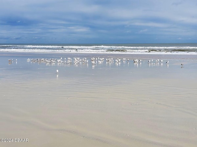 property view of water with a view of the beach