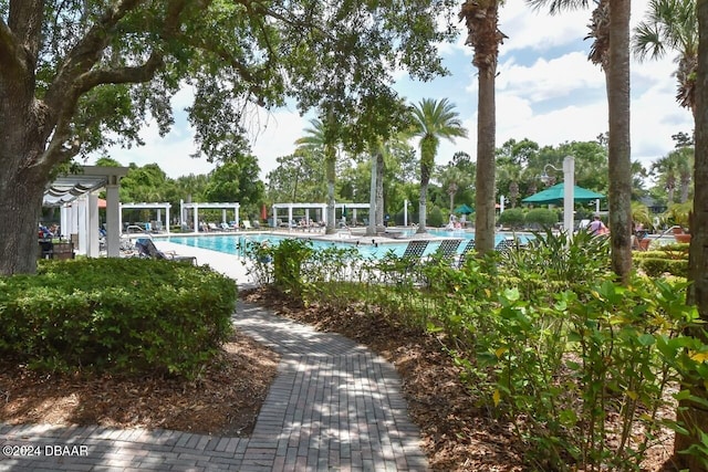 view of swimming pool