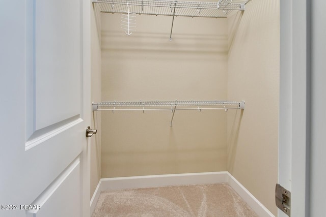 spacious closet with carpet