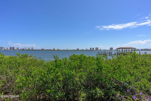 3333 S Ridgewood Ave Unit 9, Port Orange, FL 32129 - photo 14