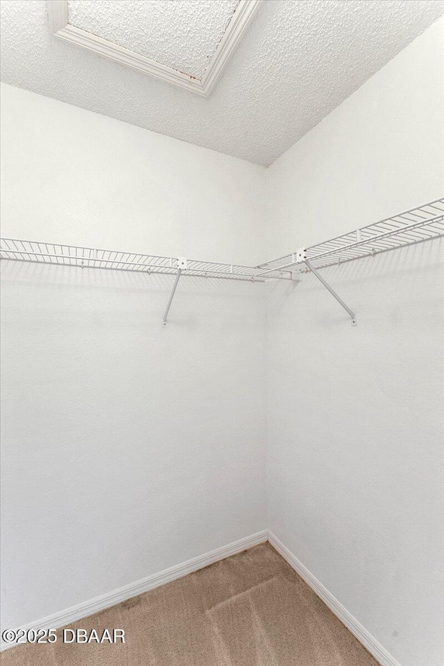 744 Hawks Ridge Rd, Port Orange, FL 32127 - spacious closet featuring light carpet