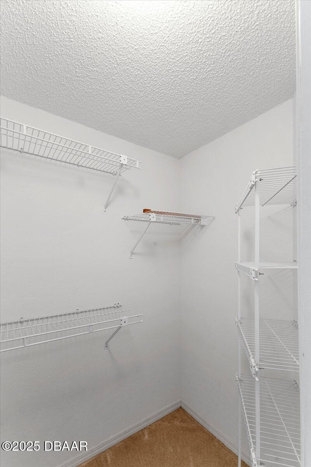 744 Hawks Ridge Rd, Port Orange, FL 32127 - spacious closet featuring carpet flooring