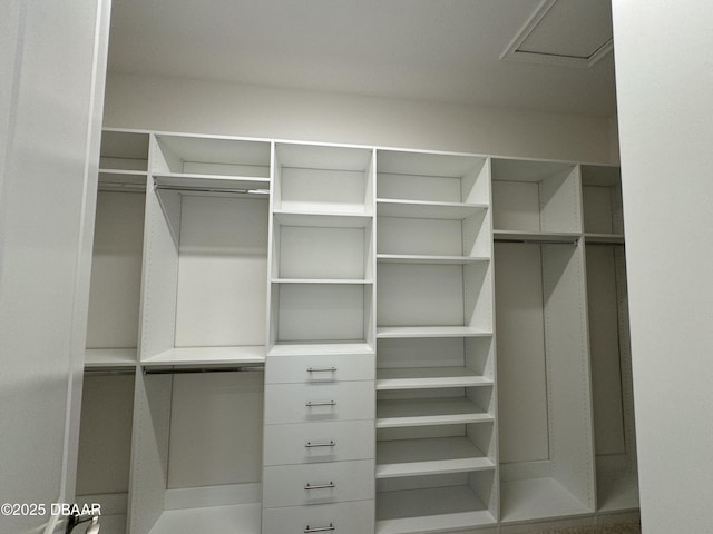 2009 Divot Dr, Daytona Beach, FL 32124 - view of walk in closet