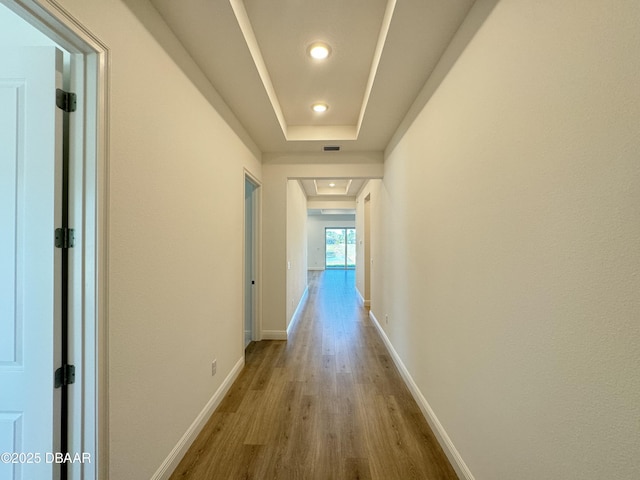 2009 Divot Dr, Daytona Beach, FL 32124 - hall with a raised ceiling, baseboards, and light wood-type flooring