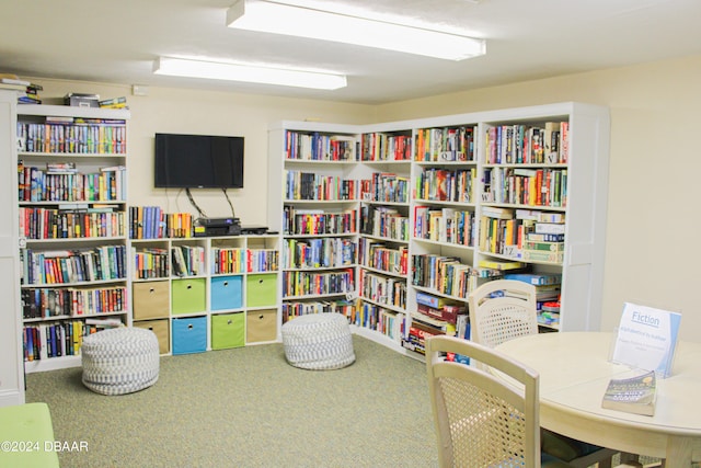 recreation room featuring carpet