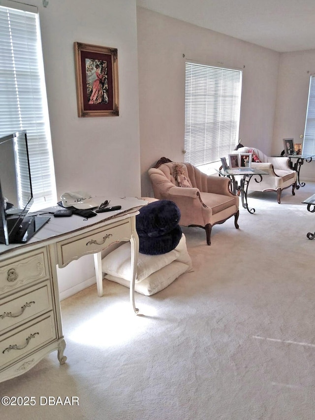 home office featuring light colored carpet