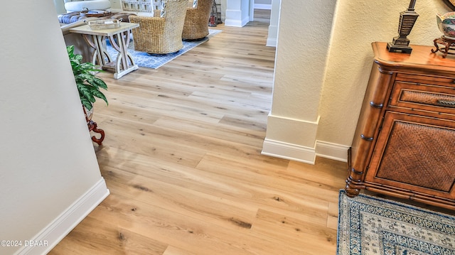 interior details featuring wood-type flooring