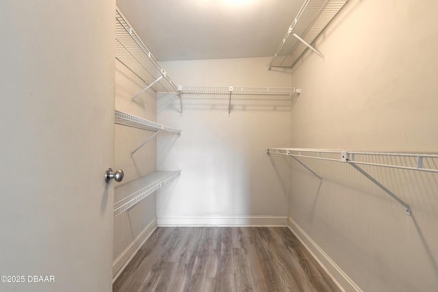 3622 Ocean Shore Blvd, Ormond Beach, FL 32176 - spacious closet with wood finished floors