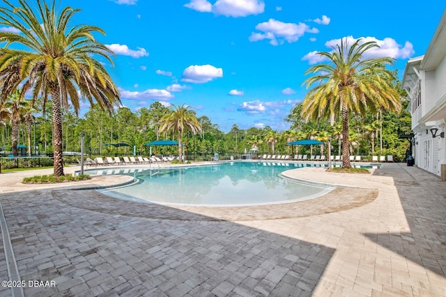 view of swimming pool featuring a patio area