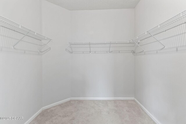 115 Pergola Pl, Ormond Beach, FL 32174 - spacious closet with carpet floors