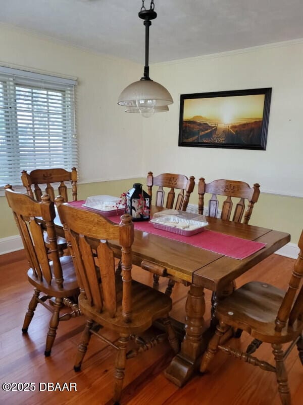 816 N Wild Olive Ave, Daytona Beach, FL 32118 - photo 5