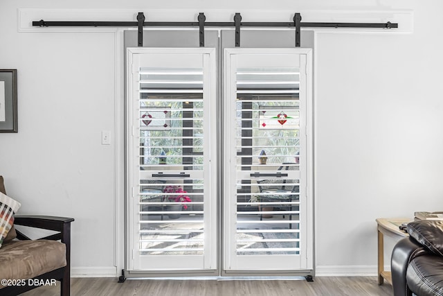 room details with hardwood / wood-style floors and a barn door