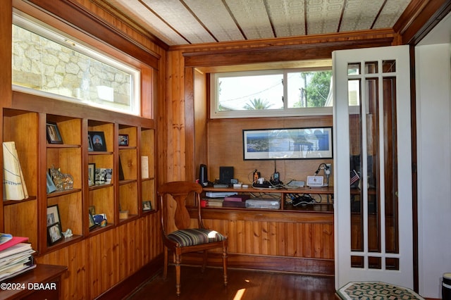 interior space featuring dark hardwood / wood-style flooring and wooden walls