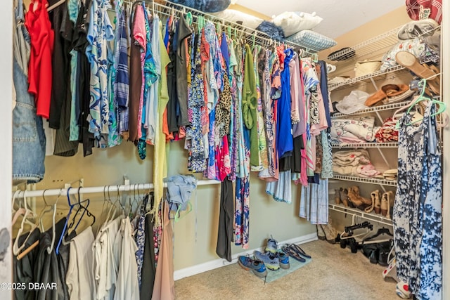 1405 Florida Moss Ln, Port Orange, FL 32128 - spacious closet with carpet