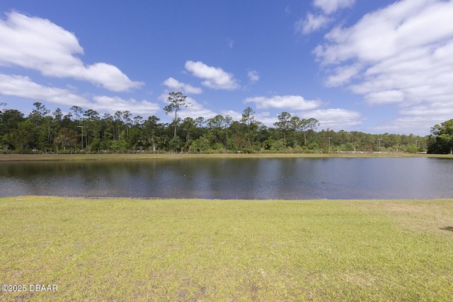 5567 Estero Loop, Port Orange, FL 32128 - water view with a forest view