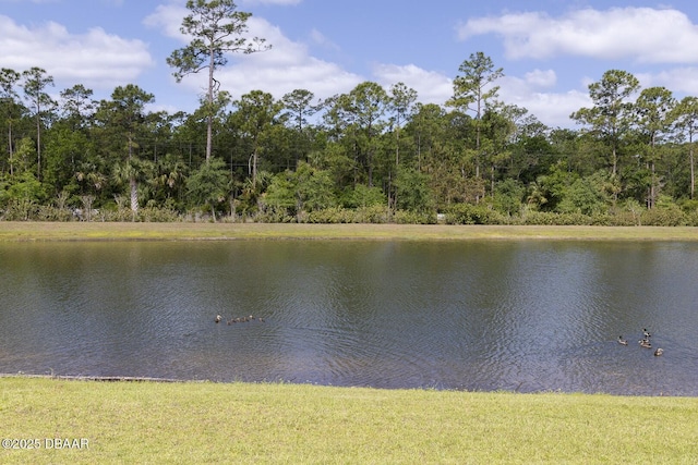 5567 Estero Loop, Port Orange, FL 32128 - view of water feature