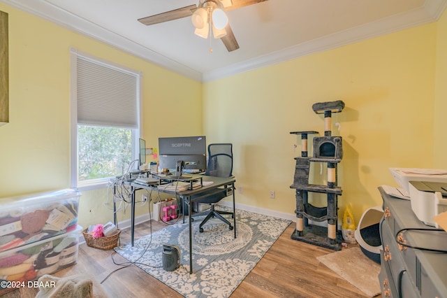 office space featuring ceiling fan, hardwood / wood-style floors, and ornamental molding