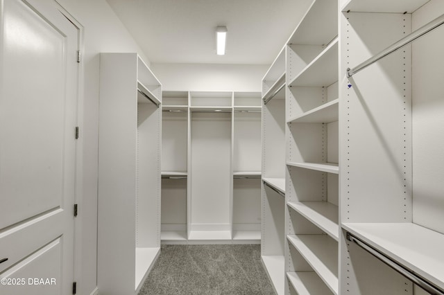 1316 Loftwedge Cir, Daytona Beach, FL 32124 - spacious closet with light colored carpet