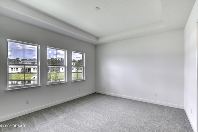 1316 Loftwedge Cir, Daytona Beach, FL 32124 - empty room featuring carpet flooring and a tray ceiling