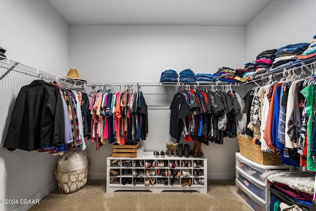 spacious closet with carpet floors