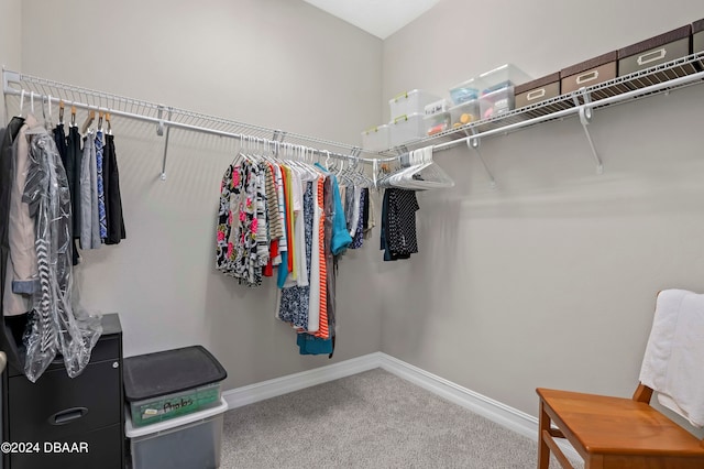 spacious closet featuring carpet floors