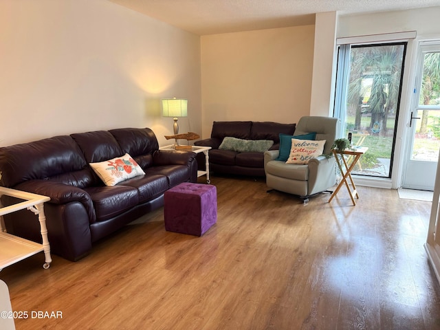 living area with wood finished floors