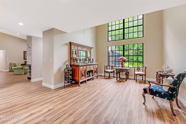 living area featuring light hardwood / wood-style flooring and a towering ceiling