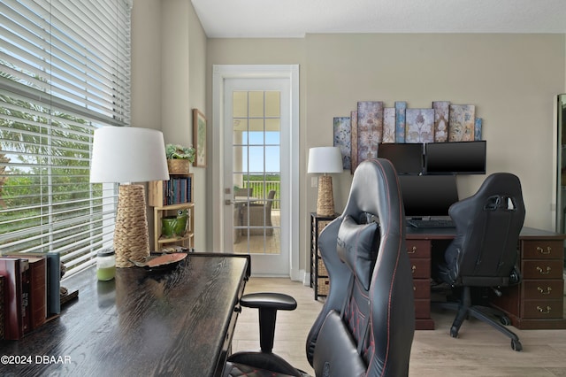 office area featuring wood-type flooring