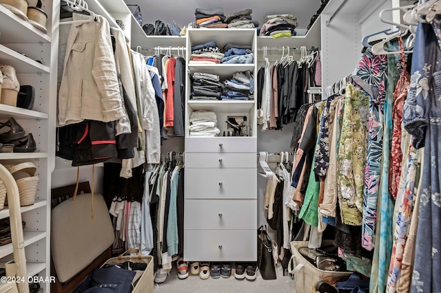 walk in closet with carpet flooring