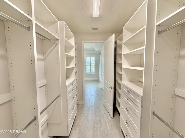 24 Shear Water Trl, Ormond Beach, FL 32174 - walk in closet featuring light wood-style floors