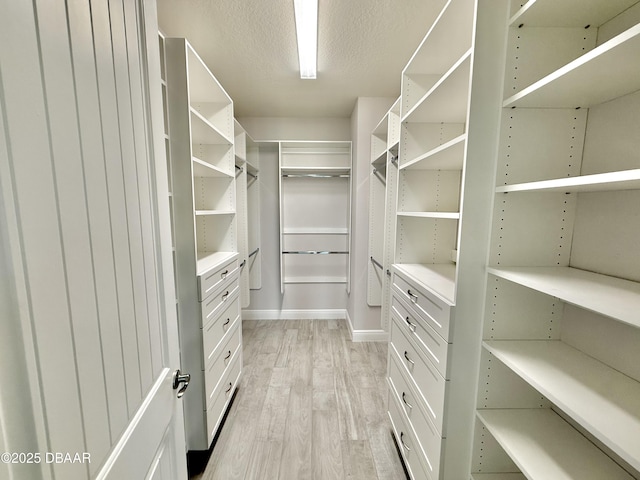 24 Shear Water Trl, Ormond Beach, FL 32174 - spacious closet featuring light wood finished floors