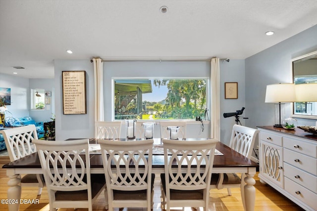 dining room with light wood-type flooring and a wealth of natural light