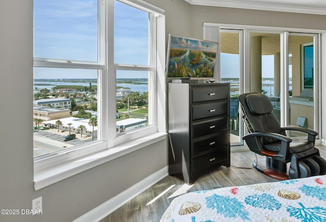 office space with light hardwood / wood-style floors, a wealth of natural light, and ornamental molding