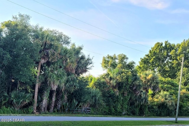 1875 Stone Rd, Pierson FL, 32180 land for sale