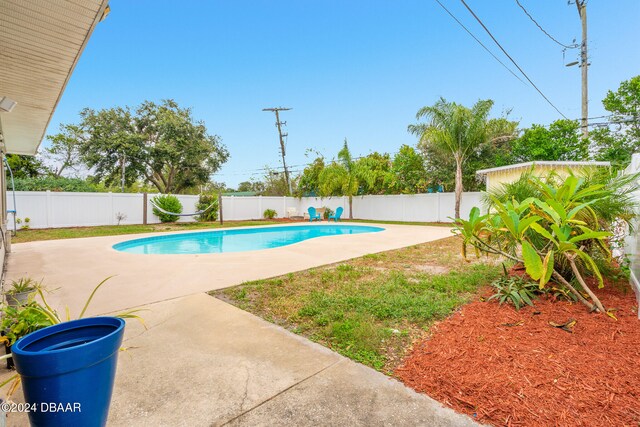 view of swimming pool with a patio area