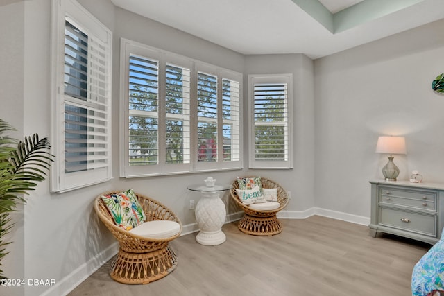 living area featuring light hardwood / wood-style flooring