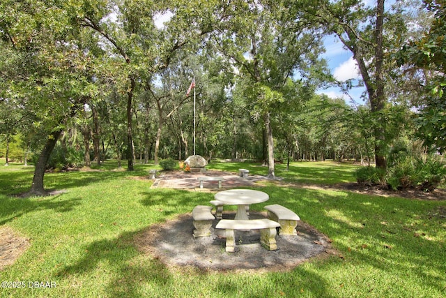 3288 Spruce Creek Gln, Port Orange, FL 32128 - view of green lawn