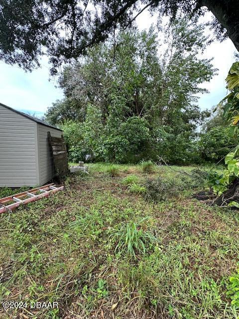 view of yard with a shed