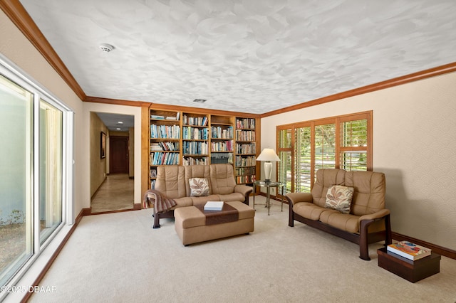1010/1020 Big Tree Rd, Daytona Beach, FL 32119 - living room with light carpet and ornamental molding