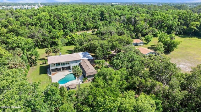 1010/1020 Big Tree Rd, Daytona Beach, FL 32119 - view of property location featuring a heavily wooded area