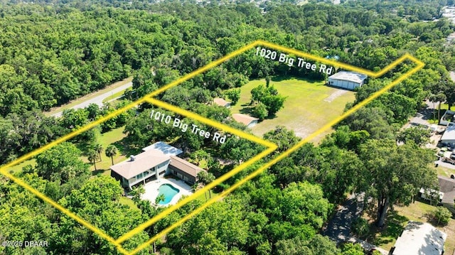 1010/1020 Big Tree Rd, Daytona Beach, FL 32119 - aerial view of property's location featuring property parcel outlined and a pool area