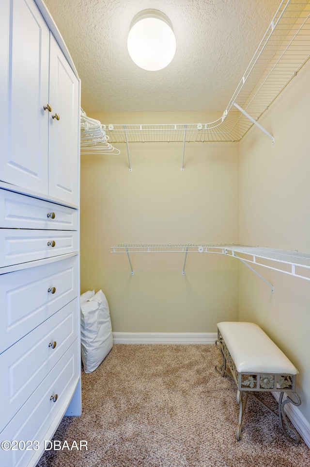 3801 S Atlantic Ave Unit 303, Daytona Beach Shores, FL 32118 - walk in closet featuring carpet floors
