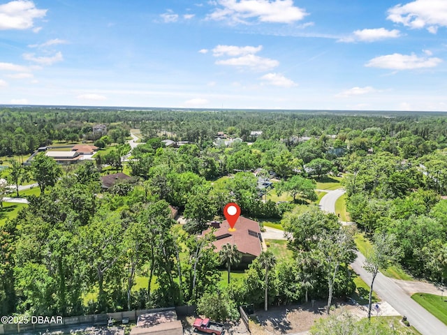 229 Riverbend Rd, Ormond Beach, FL 32174 - bird's eye view of a heavily wooded area