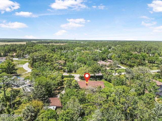 229 Riverbend Rd, Ormond Beach, FL 32174 - bird's eye view of a forest